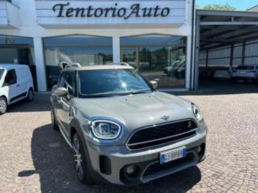 usato MINI Countryman