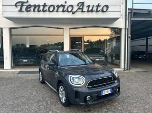 usato MINI Countryman