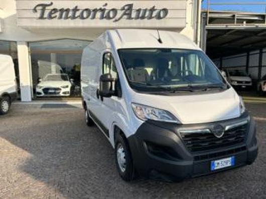 usato OPEL Movano