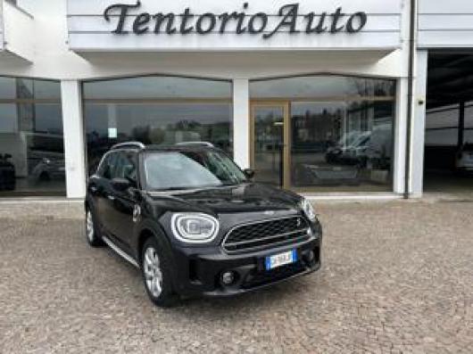 usato MINI Countryman
