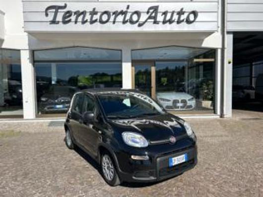usato FIAT Panda