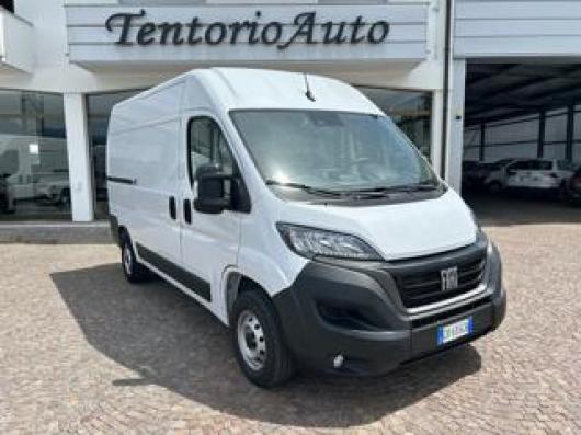usato FIAT Ducato