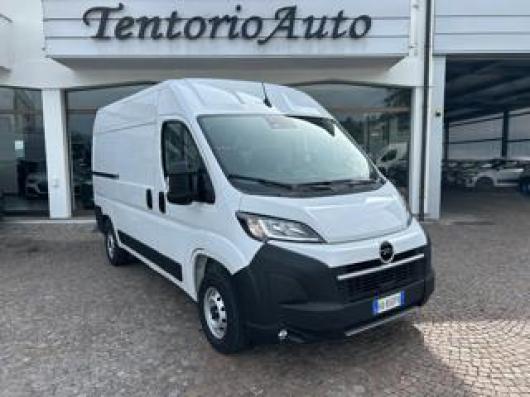 usato OPEL Movano