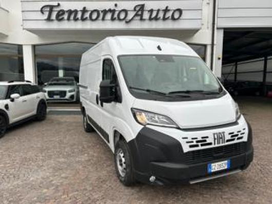 usato FIAT Ducato