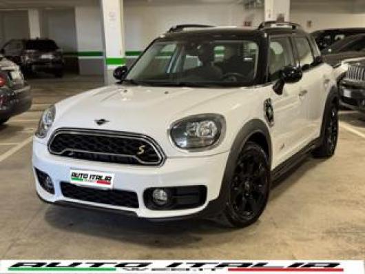 usato MINI Countryman