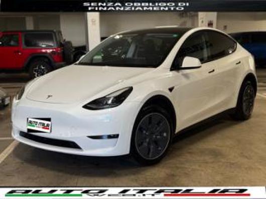 usato TESLA Model Y