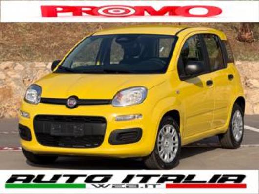usato FIAT Pandina