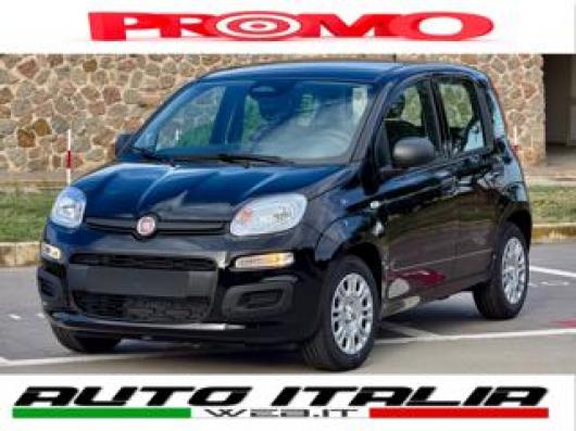 usato FIAT Pandina