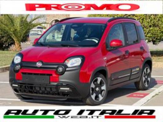 usato FIAT Pandina Cross