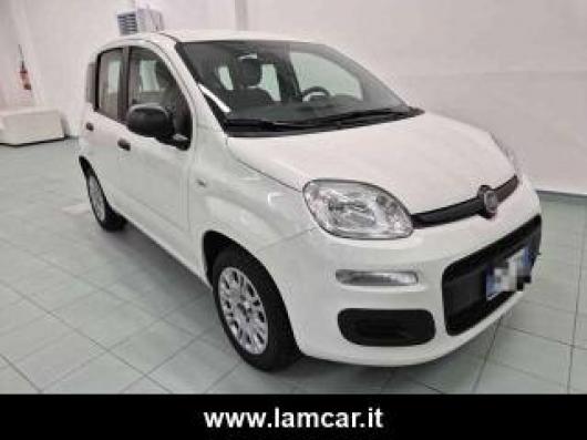 usato FIAT Panda