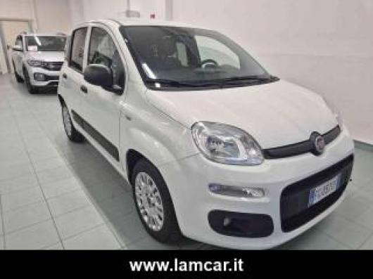 usato FIAT Panda