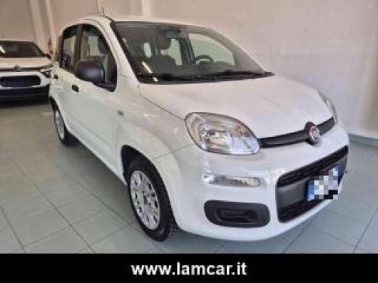 usato FIAT Panda