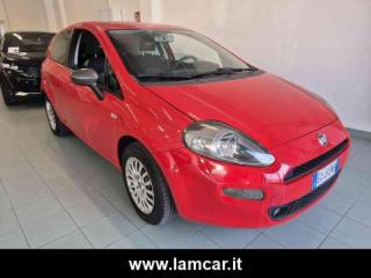 usato FIAT Punto