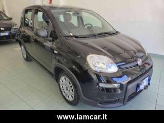usato FIAT Panda