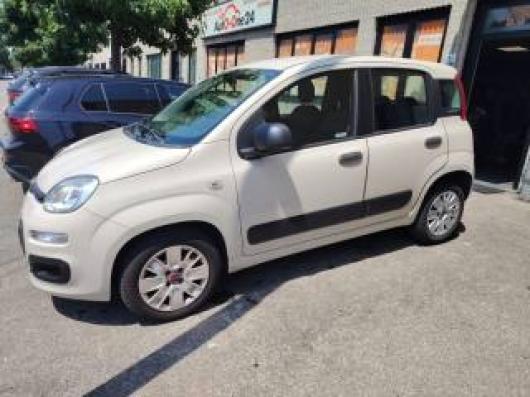 usato FIAT Panda