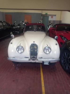 usato JAGUAR XK