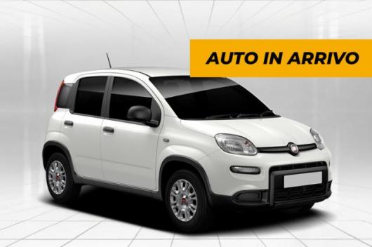 usato FIAT Panda