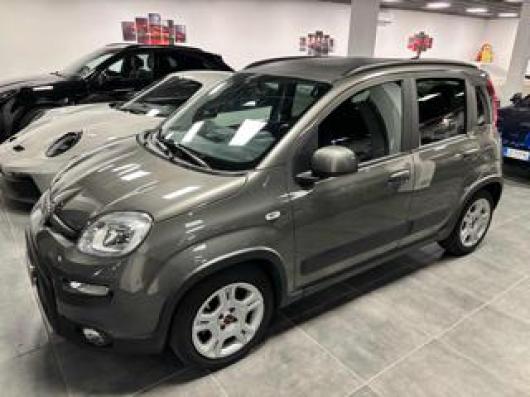 usato FIAT Panda