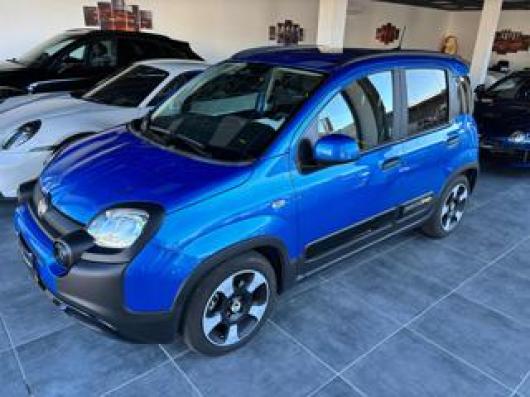 usato FIAT Panda