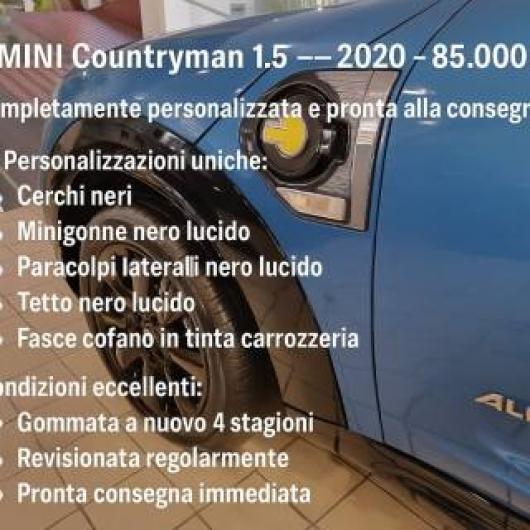 usato MINI Countryman