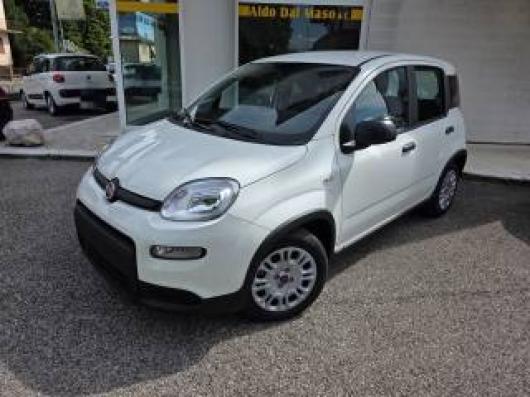 usato FIAT Panda