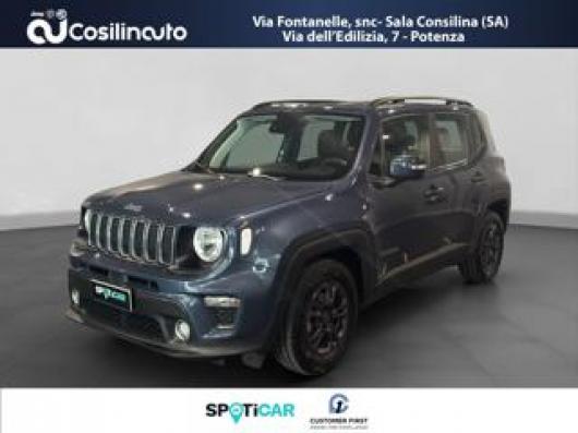 usato JEEP Renegade