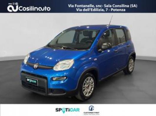 usato FIAT Panda