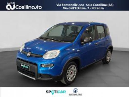 usato FIAT Panda