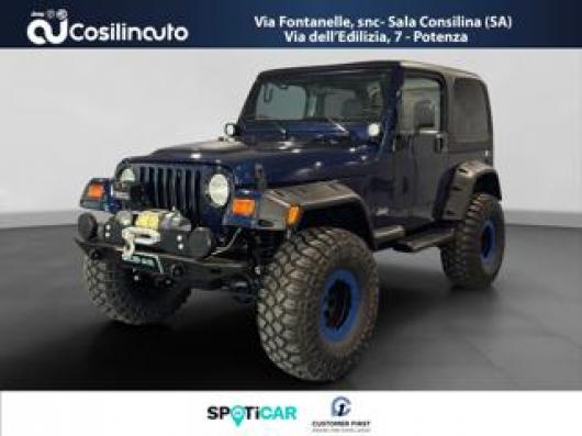 usato JEEP Wrangler
