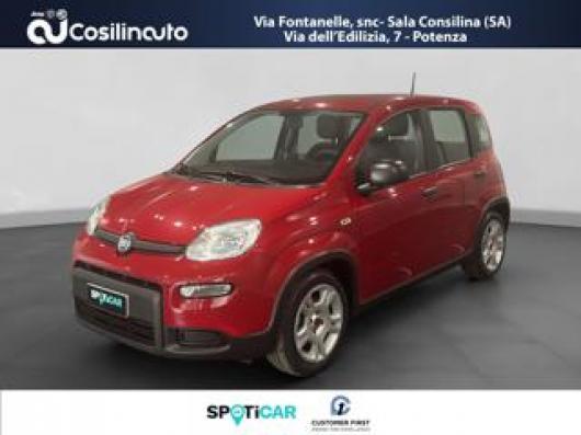 usato FIAT Panda