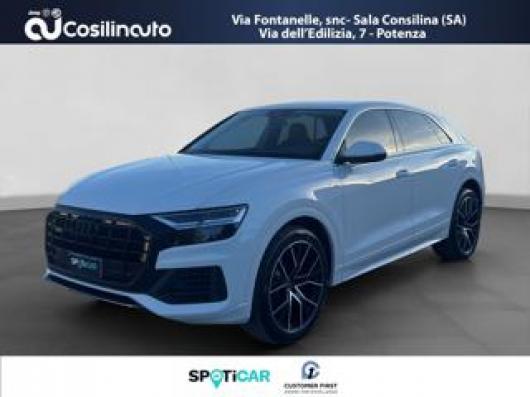 usato AUDI Q8