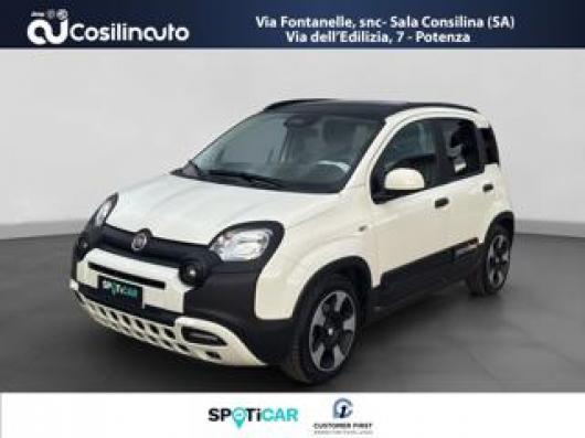 usato FIAT Panda
