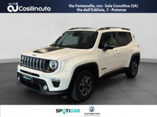usato JEEP Renegade