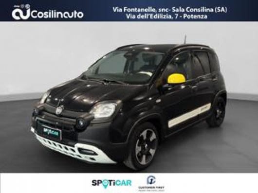 usato FIAT Pandina
