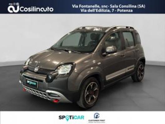 usato FIAT Panda Cross