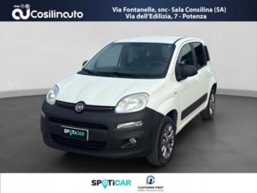 usato FIAT Panda