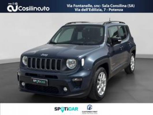 usato JEEP Renegade