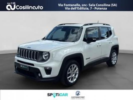 usato JEEP Renegade