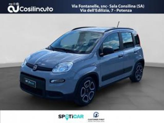 usato FIAT Panda