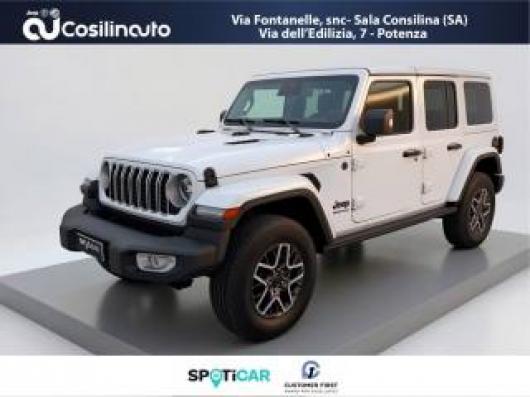 usato JEEP Wrangler