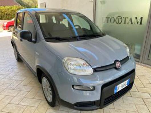 usato FIAT Panda
