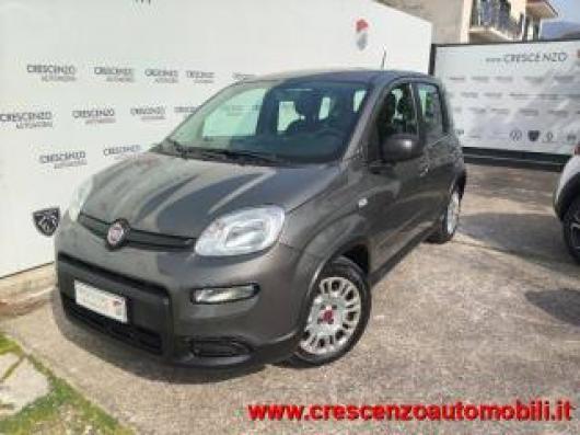 usato FIAT Panda