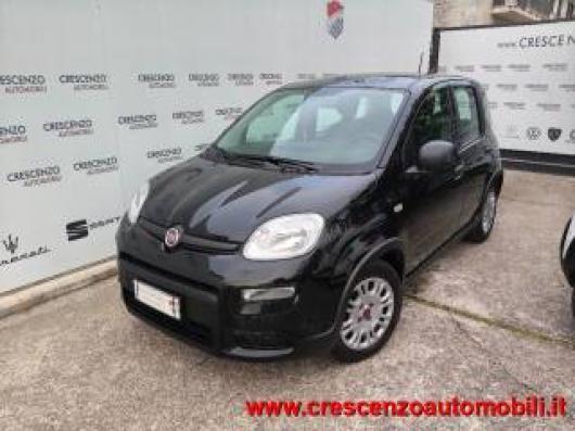 usato FIAT Panda