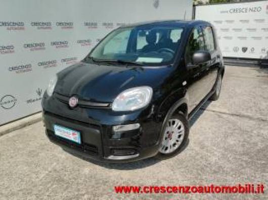 usato FIAT Panda