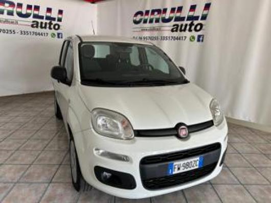 usato FIAT Panda