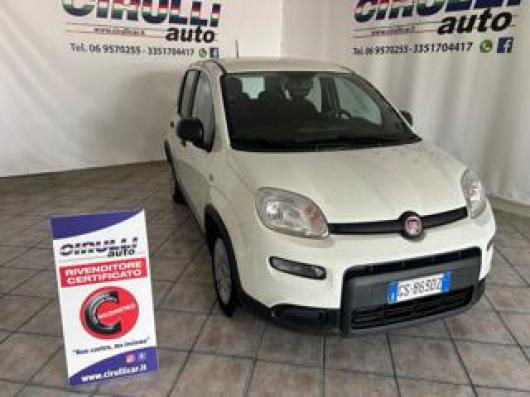 usato FIAT Panda