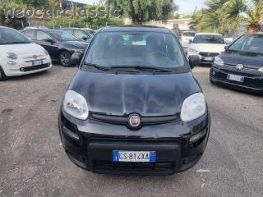 usato FIAT Panda