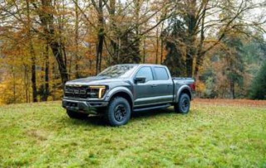 F 150