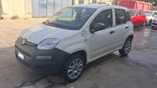 usato FIAT Panda