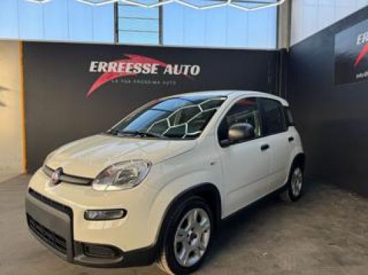 usato FIAT Panda